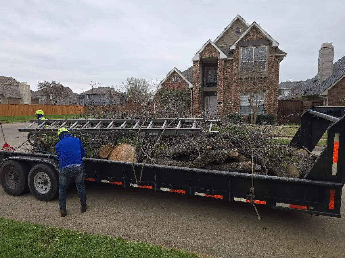 Expert Tree Fertilization with proper safety equipment in Faxon